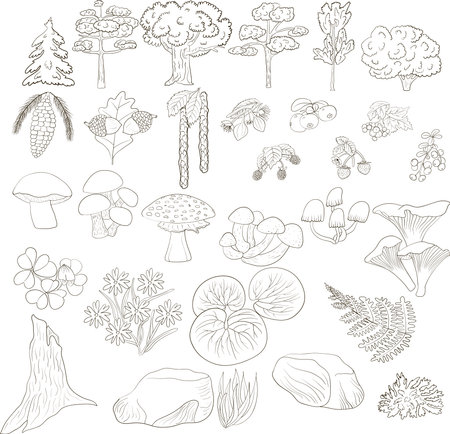 Set of doodle forest elements: trees, berries, mushrooms, grass and othersのイラスト素材