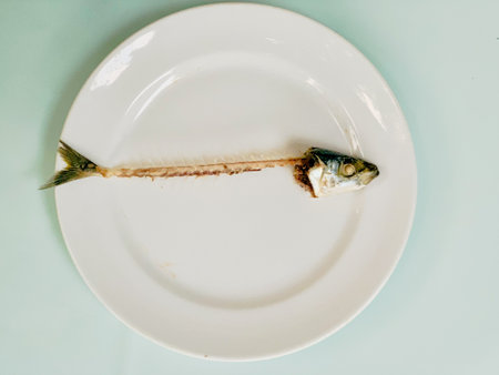 Mackerel fish on a white plate, closeup of photoの写真素材