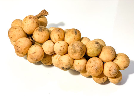 Wollongong fruit on white background, Langsat or Lansium domesticum