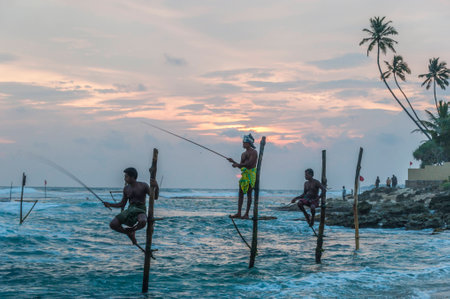Sri Lankan stilt fishermenの写真素材