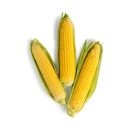 Fresh corn with green leaves isolated on white background