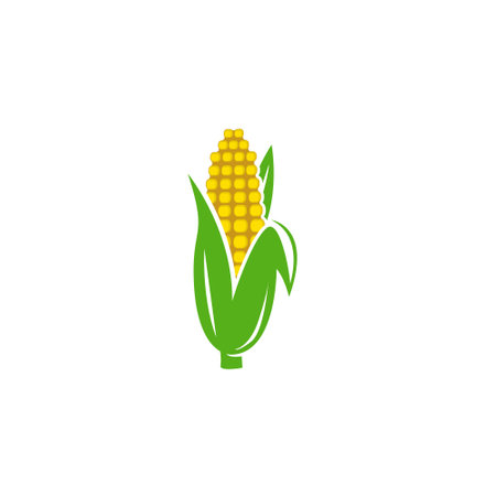 Corn icon on background for graphic and web design. Creative illustration concept symbol for web or mobile appのイラスト素材