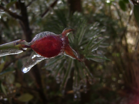 Amanecer frío en la montaña de Mendoza, Argentina   Cold sunrise in the mountains of Mendoza, Argentina の写真素材