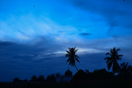 Blue dark night sky with many stars. Space backgroundの写真素材