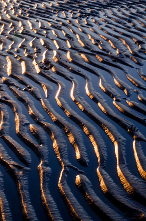 Leading edge of sand catches the first rays of sunlightの写真素材