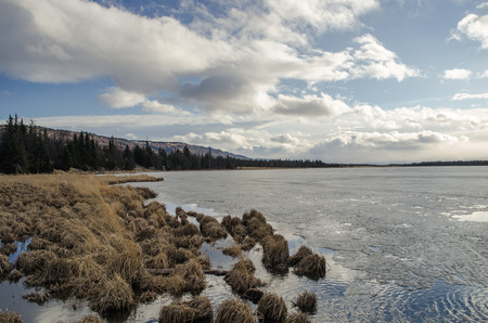 A Alaskan lake in the throws of the spring melt and the very start of the growing season の写真素材