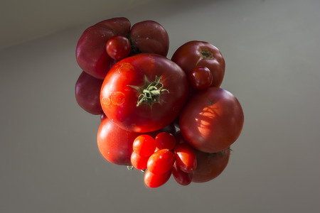 Fresh picked tomatoes sit on a mirrorの写真素材