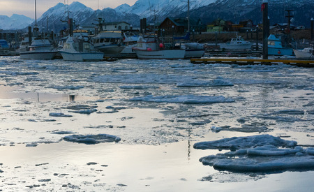 Ice floats in a small boat harbor in predawn light.の写真素材