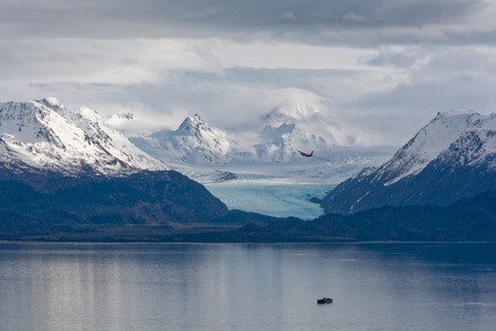 Hercules turns over Kachemak Bay with Grewingk Glacier in the backgroundの写真素材