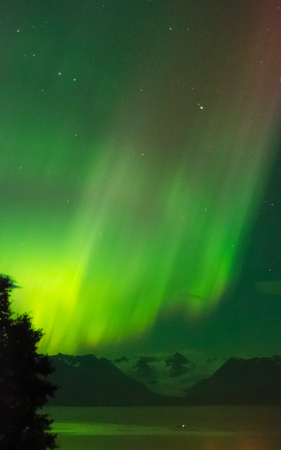 Green light reflects off Gregwing Glacier from the aurora overhead.の写真素材