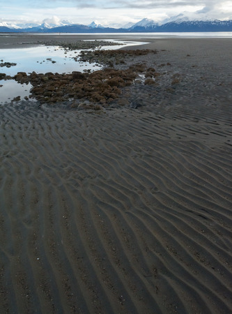 A stream runs into the distance as water continues to flow to the sea at low tide.の写真素材