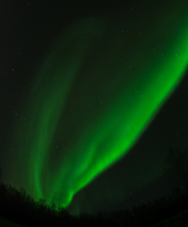 An aurora splits in to twin green streaks in the night sky.の写真素材
