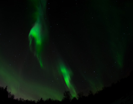 As an aurora fades only patches of green light fill the night sky.の写真素材