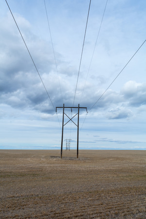 Razor straight set of power lines stretch into the distance.の写真素材