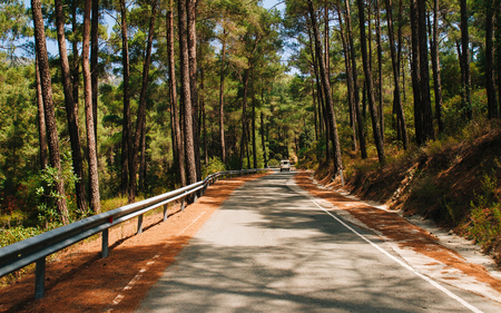 Road to Troodos, Cyprus safariの写真素材