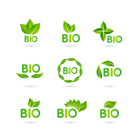 Collection of Green Healthy Organic Natural Eco Bio Food Products Label Stamp.のイラスト素材