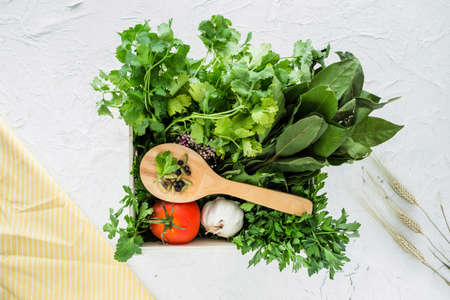 Various herbs spices with place for text isolated white background. Top view.の写真素材