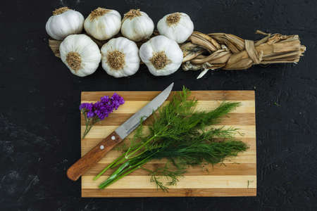 Various herbs spices with place for text isolated dark background, plate. Top view.