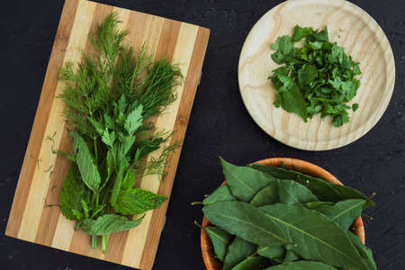 Various herbs spices with place for text isolated dark background, plate. Top view.