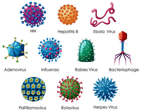 Close up isolated object of different types of virus illustrationのイラスト素材