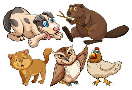Cute animals on a white background