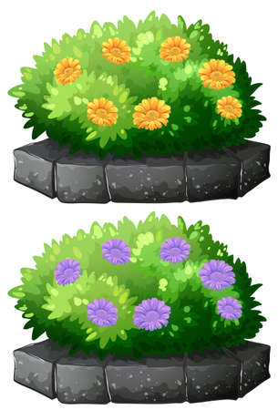 Flowers in the bush illustrationのイラスト素材