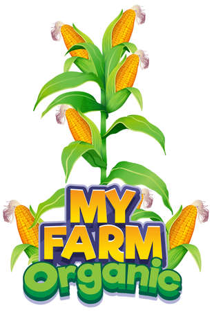 Font design for word my farm organic with fresh corns illustrationのイラスト素材