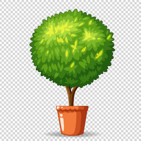 Bonsai in clay pot illustrationのイラスト素材