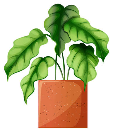 Illustration of a leafy green ornamental plant on a white backgroundのイラスト素材