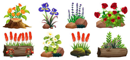 Large set of colorful flowers on rocks and wood illustrationのイラスト素材