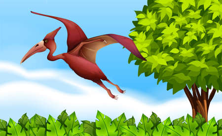 Illustration of a Pterodactylのイラスト素材