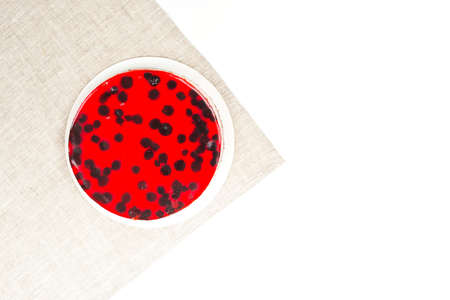 Ð¡ake with chocolate decoration on a plate. Wooden background. Copy space. Chocolate birthday cake...