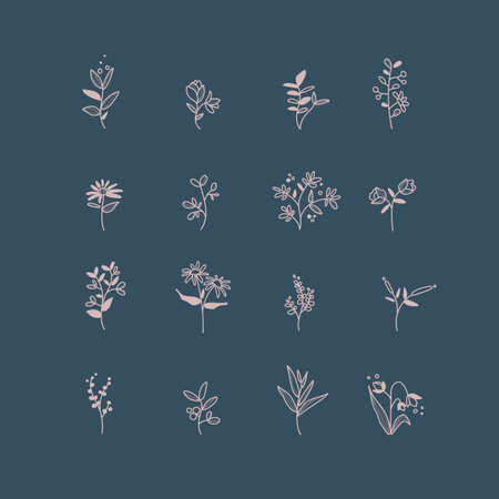 Set of hand drawn botanical elements vectorのイラスト素材
