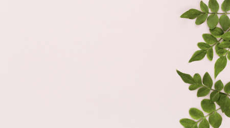 top view multiple leaves with copy space. Resolution and high quality beautiful photo