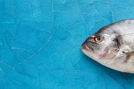 top view fish blue background. Resolution and high quality beautiful photoの写真素材