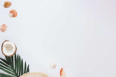 sea shells with green leaf coconut.の写真素材