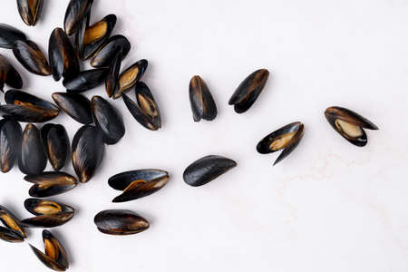 scattered mediterranean mussels flat lay. Resolution and high quality beautiful photoの写真素材