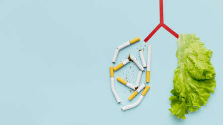 lungs shape with salad cigarettes copy space. Resolution and high quality beautiful photoの写真素材