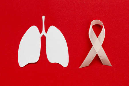 medicine sign with lungs shape. Resolution and high quality beautiful photoの写真素材