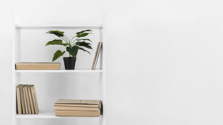 nordic style bookshelf with plant. Resolution and high quality beautiful photoの写真素材