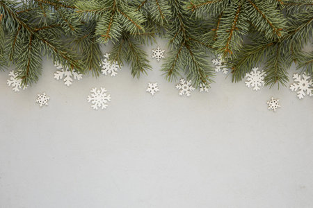 pine needles gray background with snowflakes. Resolution and high quality beautiful photoの写真素材