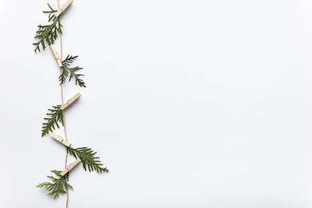 leaves rope. Resolution and high quality beautiful photoの写真素材