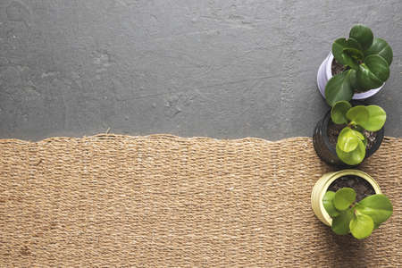 pots. Resolution and high quality beautiful photoの写真素材