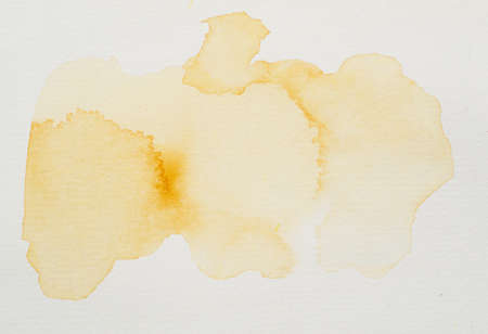 orange paints white paper. Resolution and high quality beautiful photoの写真素材