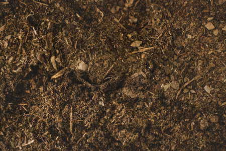 gardening soil. Resolution and high quality beautiful photoの写真素材