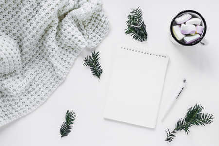 blanket hot chocolate near conifer twigs notebook. Resolution and high quality beautiful photoの写真素材