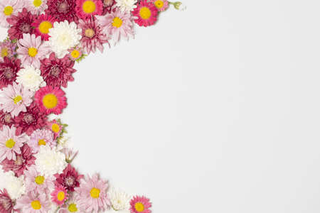 composition wonderful colorful blooms. Resolution and high quality beautiful photoの写真素材