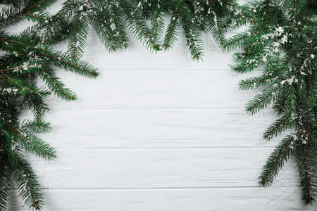 coniferous branches with snow. Resolution and high quality beautiful photoの写真素材