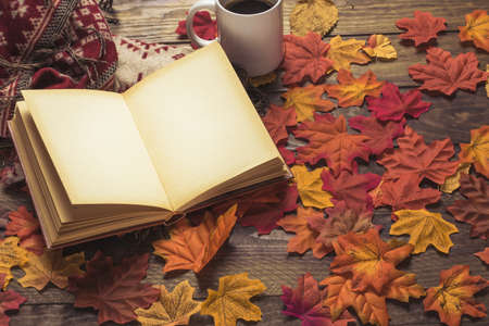 book blanket near coffee leaves. Resolution and high quality beautiful photoの写真素材
