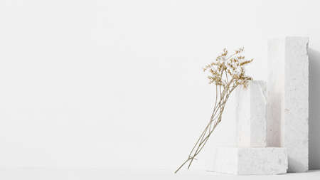 white still life composition. High quality beautiful photo conceptの写真素材
